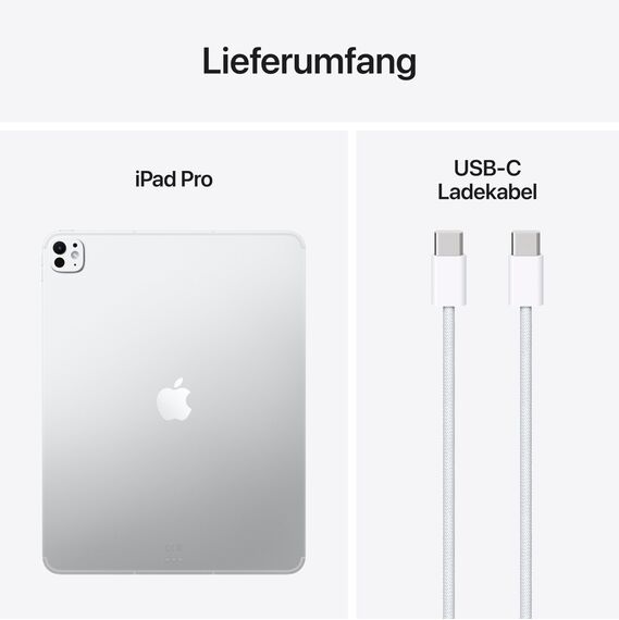 Apple 13" iPad Pro M5, 1 TB: Ultra Retina XDR Display, 12 MP Querformat Frontkamera/12 MP Rückkamera, LiDAR Scanner, WLAN und 5G Mobilfunk, Batterie für den ganzen Tag – Silber