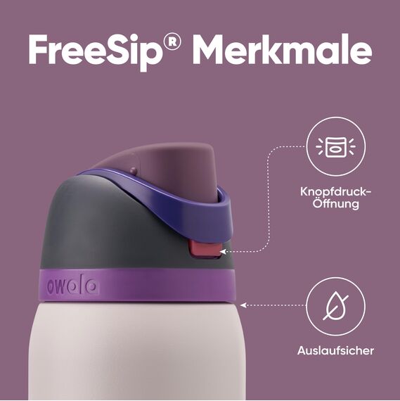Owala FreeSip Isolierte Edelstahl Trinkflasche mit Strohhalm, 945 ml – BPA-frei, optimal für Sport, Fitness, Outdoor und Reisen, Dreamy Field
