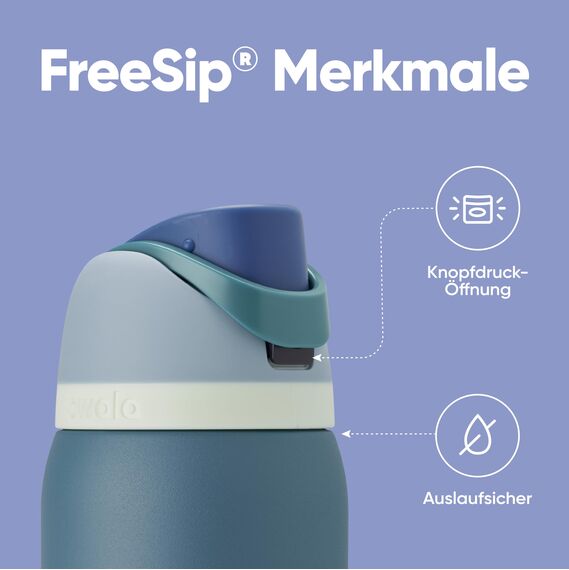 Owala FreeSip Isolierte Edelstahl Trinkflasche mit Strohhalm, 945 ml – BPA-frei, optimal für Sport, Fitness, Outdoor und Reisen, Denim