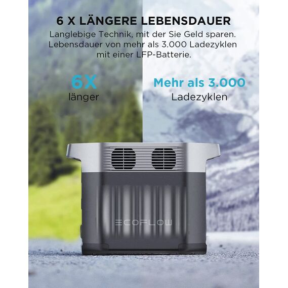 EcoFlow DELTA 2 tragbare Powerstation mit 220W Solar Panel, balkonkraftwerk mit speicher solaranlage balkon und Schnellladung als Solargenerator für die Stromversorgung, für Camping und Wohnmobile