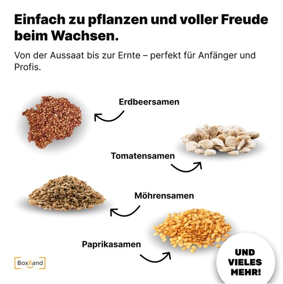 UMBRELLA® Saatgut Adventskalender 2025 [24 SORTEN GEMÜSE, KRÄUTER, OBST] – Kalender 2025 Saatgut Garten – Advents Kalender Samen 2025 Pflanzen – Adventskalender für Gartenfreunde und Gärtner