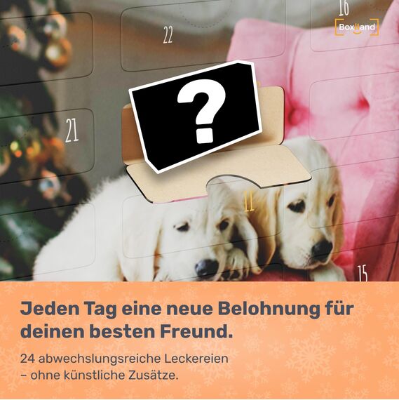 UMBRELLA® Hunde Adventskalender 2025 [MIT 24 PREMIUM-LECKERLIS] – Weihnachtskalender für Hunde – Natürliches Geschenk für Hundebesitzer & Tierfreunde – Geschenkidee für Hundebesitzer