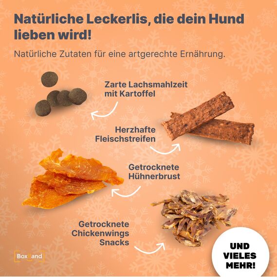 UMBRELLA® Hunde Adventskalender 2025 [MIT 24 PREMIUM-LECKERLIS] – Weihnachtskalender für Hunde – Natürliches Geschenk für Hundebesitzer & Tierfreunde – Geschenkidee für Hundebesitzer