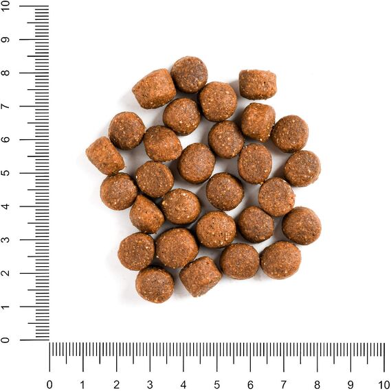 The Hunger of the Wolf Hundefutter für ausgewachsene Hunde aller Rassen, Fein zubereitetes Trockenfutter mit Rind und braunem Reis - 3 kg