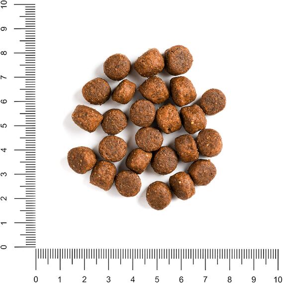 The Hunger of the Wolf Hundefutter für ausgewachsene Hunde aller Rassen, Fein zubereitetes Trockenfutter ohne Getreide mit Wildfleisch und Süßkartoffeln - 14 kg