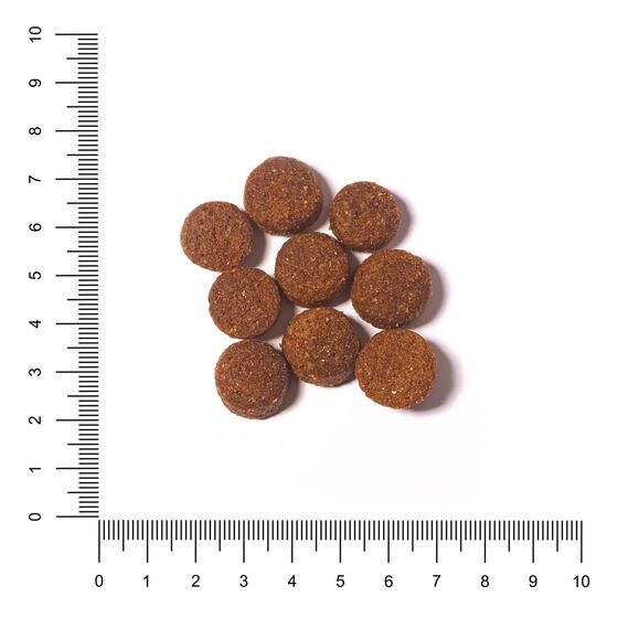 The Hunger of the Wolf Hundefutter für ausgewachsene und aktive Hunde aller Rassen, Trockenfutter mit hohem Kalorien- und Energiegehalt - 14 kg