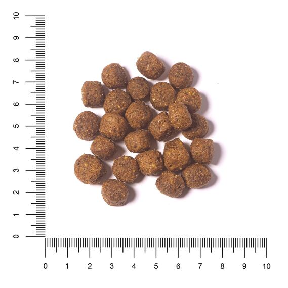 The Hunger of the Wolf Hundefutter für ausgewachsene Hunde aller Rassen, Fein zubereitetes Trockenfutter mit Lamm und Reis - 14 kg