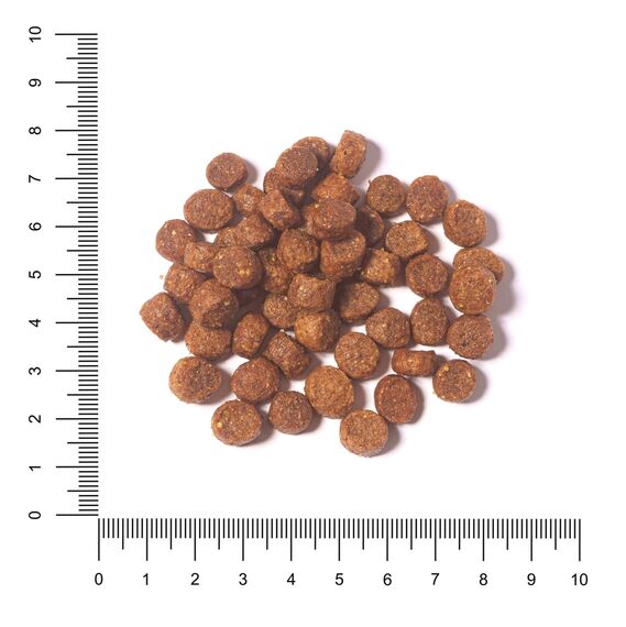 The Hunger of the Wolf Hundefutter für ausgewachsene Hunde kleiner und mittlerer Rassen, Trockenfutter mit Huhn, reich an Vitamin C und E - 14 kg