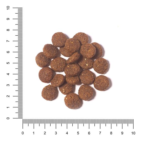 The Hunger of the Wolf Hundefutter für Welpen und Junghunde aller Rassen, Fein zubereitetes Trockenfutter mit Lamm und Reis - 3 kg