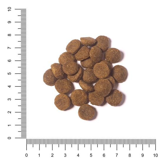 The Hunger of the Wolf Hundefutter für ausgewachsene Hunde aller Rassen und für Hunde mit Allergien, Fein zubereitetes Trockenfutter ohne Getreide mit Lachs und Kartoffeln - 3 kg