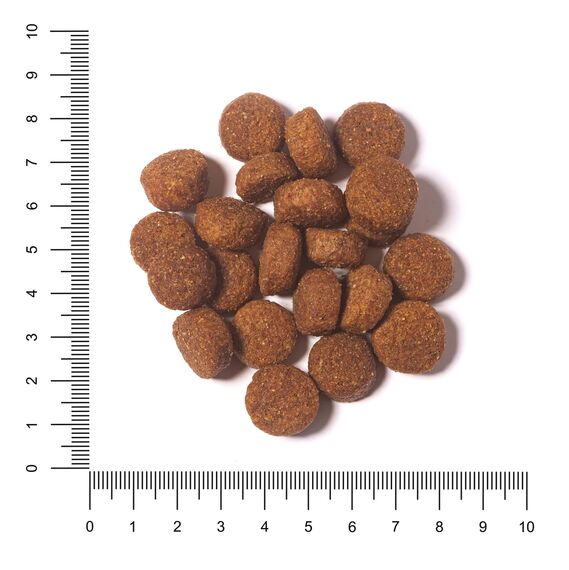 The Hunger of the Wolf Hundefutter für ausgewachsene und aktive Hunde aller Rassen, Trockenfutter mit hohem Kalorien- und Energiegehalt - 14 kg