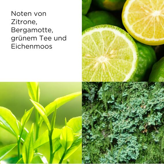 Elizabeth Arden Green Tea – Deodorant Creme, Deo Stick mit Tee-Extrakt & leichtem Zitrusduft, erfrischt die Haut, luxuriöse Körperpflege für Frauen, 40 ml
