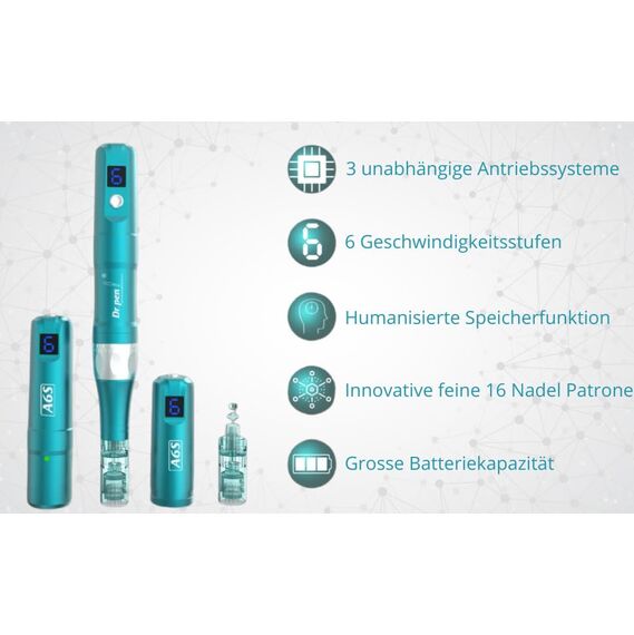 Erbilon, Pen Ultima A6S Professional Plus – Kabelloses Hautpflege Werkzeug-Set inklusive 2 x Mikronadel-Patronen