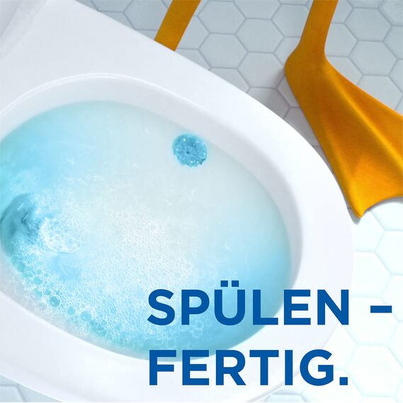 WC-Ente Frische-Siegel Nachfüller, körbchenloser WC-Reiniger, WC Duft, Ocean Wave, 3 x 2 Nachfüller (6 Stück)