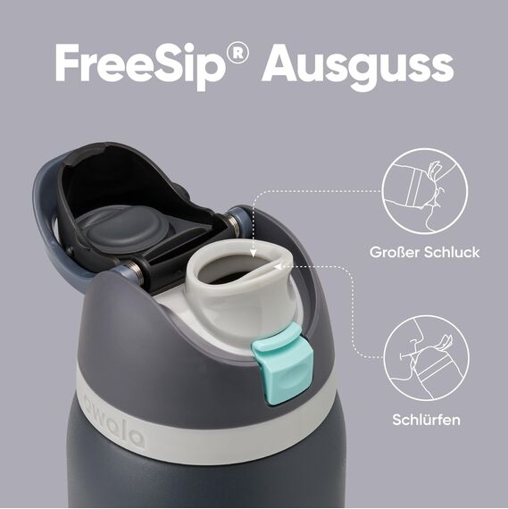 Owala FreeSip Isolierte Edelstahl Trinkflasche mit Strohhalm, 945 ml – BPA-frei, optimal für Sport, Fitness, Outdoor und Reisen, Foggy Tide
