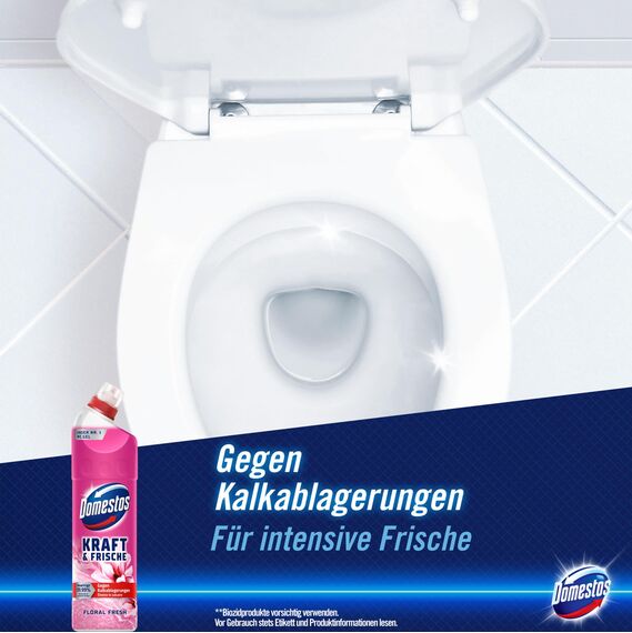 Domestos Kraft & Frische WC Gel Floral Fresh Reinigungsmittel mit frischem Blumen-Duft für hygienische Sauberkeit 750 ml 1 Stück