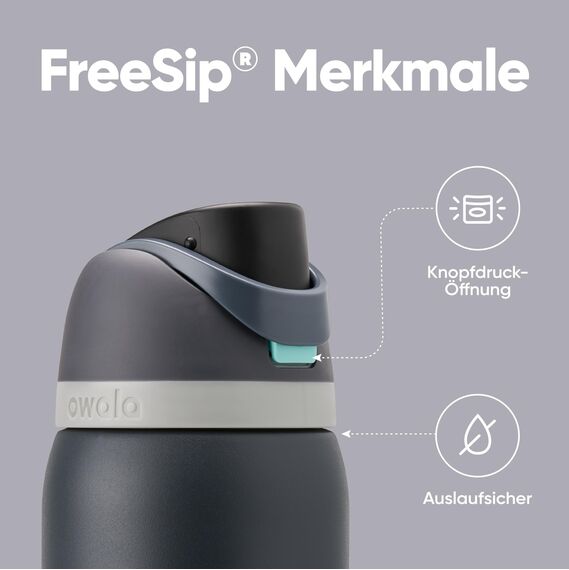 Owala FreeSip Isolierte Edelstahl Trinkflasche mit Strohhalm, 945 ml – BPA-frei, optimal für Sport, Fitness, Outdoor und Reisen, Foggy Tide