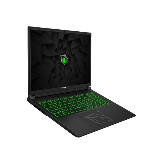 TULPAR T6 V3.5.1 Gaming Laptop | 16'' FHD+ 1920X1200 165HZ IPS LED-Display | Intel Core i7 14700HX | 32 GB RAM | 1 TB SSD | RTX 5060 | Windows 11 Gaming Notebook