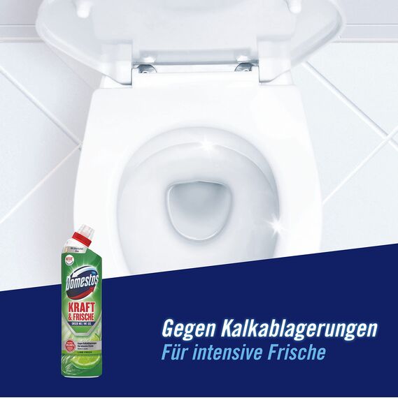 Domestos Kraft & Frische WC-Gel Lime Fresh sorgt für hygienische Sauberkeit im Badezimmer (Packung mit 2)