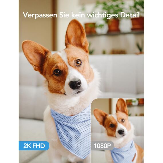 GNCC Überwachungskamera Innen - 2K Kamera Überwachung Innen, 360° WLAN Kamera Indoor mit Nachtsicht, Hundekamera mit App, Zwei-Wege-Audio, Bewegungserkennung, kompatibel mit Alexa, 2 Stück