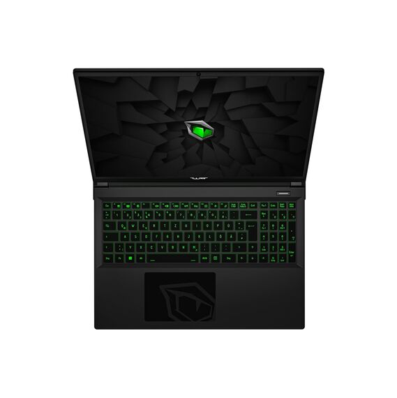 TULPAR T6 V3.5.2 Gaming Laptop | 16'' FHD+ 1920X1200 165HZ IPS LED-Display | Intel Core i7 14700HX | 32 GB RAM | 500 GB SSD | RTX 5060 | Windows 11 Gaming Notebook