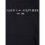 Tommy Hilfiger Herren Hoodie Core Tommy Logo mit Kapuze, Blau (Sky Captain), M