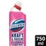 Domestos Kraft & Frische WC Gel Floral Fresh Reinigungsmittel mit frischem Blumen-Duft für hygienische Sauberkeit 750 ml 1 Stück