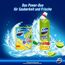 Domestos Kraft & Frische WC-Gel Lime Fresh sorgt für hygienische Sauberkeit im Badezimmer